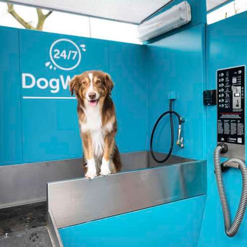Hundeauslaufgebiet-ZooRoyal Düsseldorf-Bild