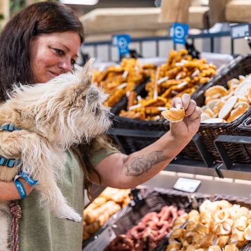 Hundeauslaufgebiet-ZooRoyal Düsseldorf-Bild
