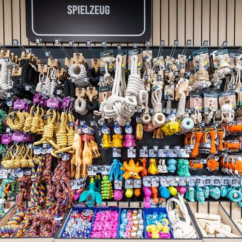 Hundeauslaufgebiet-ZooRoyal Düsseldorf-Bild