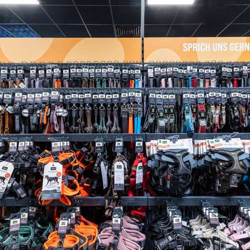 Hundeauslaufgebiet-ZooRoyal Düsseldorf-Bild