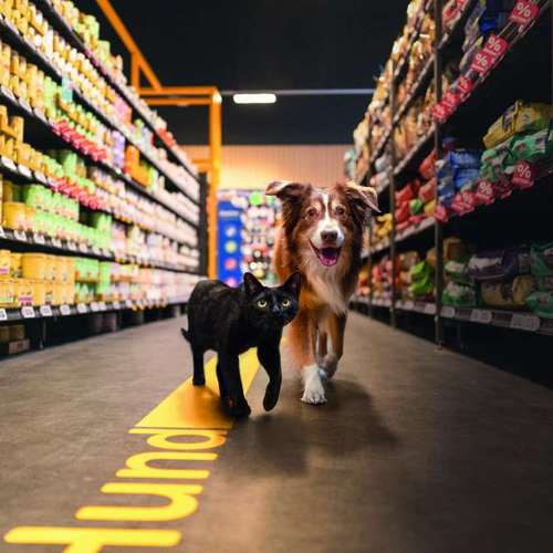 Hundeauslaufgebiet-ZooRoyal Düsseldorf-Bild