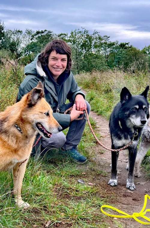 Hundeauslaufgebiet-DoggoToGo-Bild