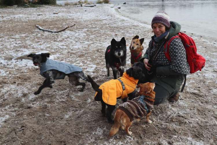 Hundeauslaufgebiet-DoggoToGo-Bild