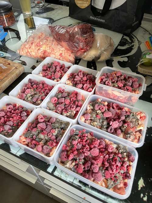 Hundeauslaufgebiet-Powerhouse Dogs-Bild