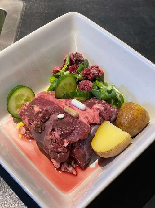 Hundeauslaufgebiet-Powerhouse Dogs-Bild