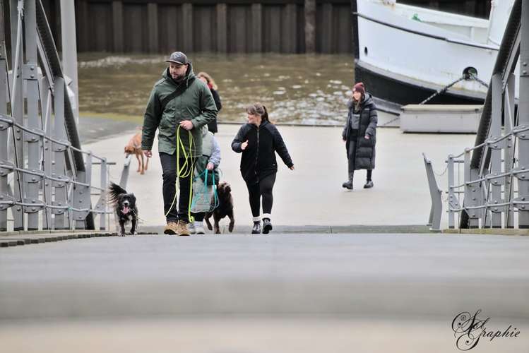 Hundeauslaufgebiet-Pawlitytime Hundeschule Hamburg -Bild
