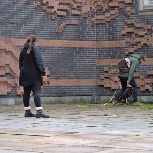 Hundeauslaufgebiet-Pawlitytime Hundeschule Hamburg -Bild