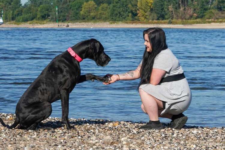 Hundeauslaufgebiet-Mobile Hundeschule Kohlepfoten-Bild