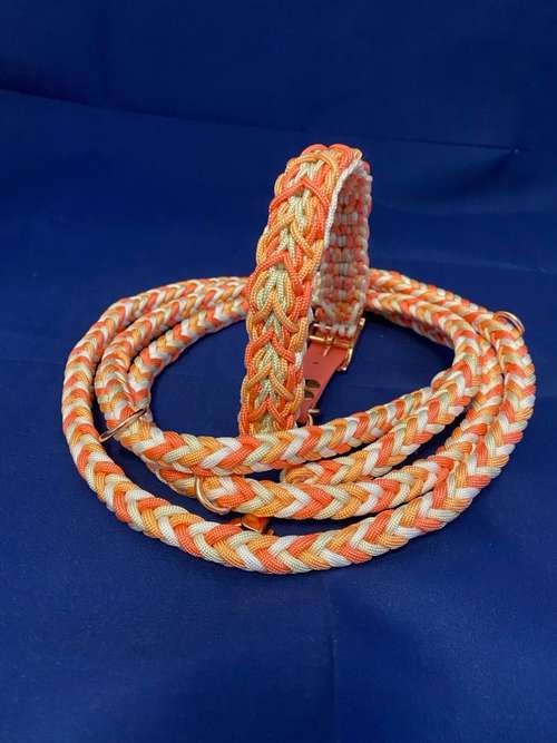 Hundeauslaufgebiet-Handmade by Fischer-Bild