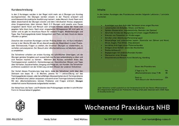 Hundeauslaufgebiet-Dog Rules Hundeschule-Bild