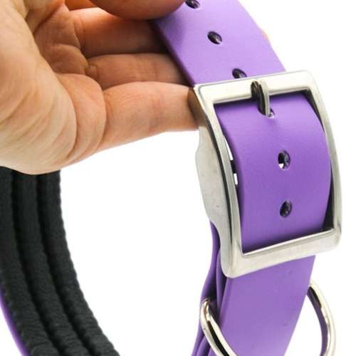 Hundeauslaufgebiet-van Hundsen - Daniela Eichstedt-Bild