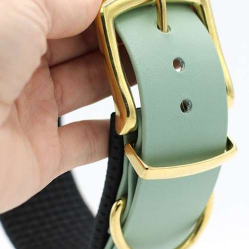 Hundeauslaufgebiet-van Hundsen - Daniela Eichstedt-Bild