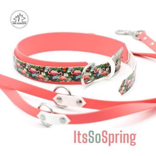 Hundeauslaufgebiet-van Hundsen - Daniela Eichstedt-Bild