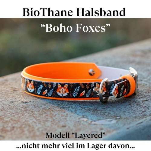Hundeauslaufgebiet-van Hundsen - Daniela Eichstedt-Bild