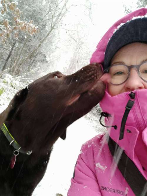 Hundeauslaufgebiet-Pfotentante-Bild