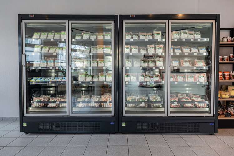 Hundeauslaufgebiet-Binzer Barferei-Bild