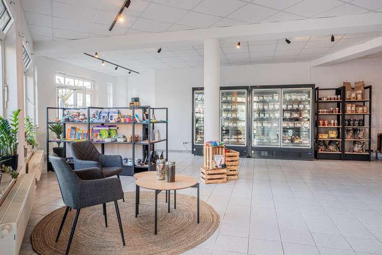 Hundeauslaufgebiet-Binzer Barferei-Bild