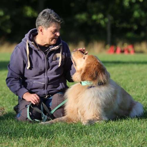 Hundeauslaufgebiet-Felis Hundetraining-Bild