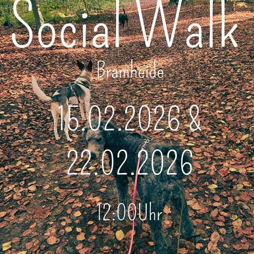 Hundeauslaufgebiet-Moon DOGS Hundetraining-Bild