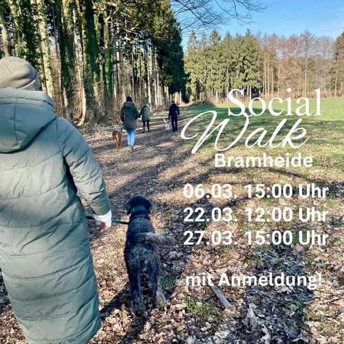 Hundeauslaufgebiet-Moon DOGS Hundetraining-Bild