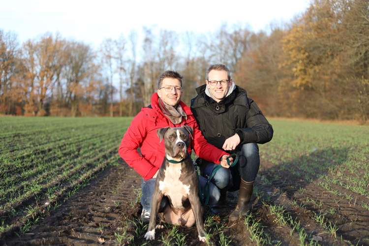 Hundeauslaufgebiet-BALU manufaktur-Bild