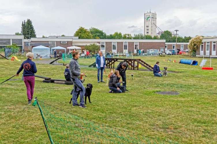 Hundeauslaufgebiet-Gemeinschaft der Hundefreunde-Bild