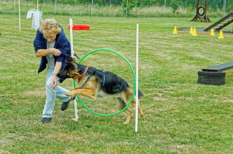 Hundeauslaufgebiet-Gemeinschaft der Hundefreunde-Bild