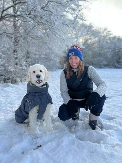 Hundeauslaufgebiet-BeziehungsWeise - Hundeschule in Kiel-Bild