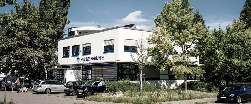 Hundeauslaufgebiet-Kleintierklinik Ludwigsburg-Oßweil-Bild