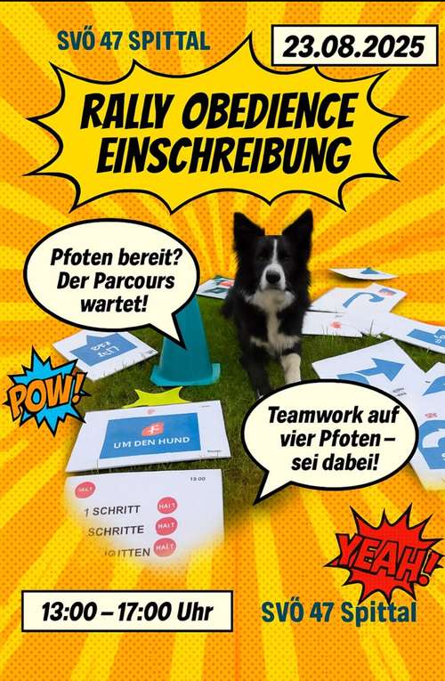 Hundeauslaufgebiet-Svö 47 Spittal Hundeschule-Bild