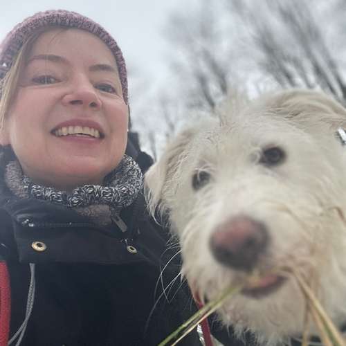 Hundeauslaufgebiet-Happy Tails Gassiservice & mobiles Hundetraining-Bild