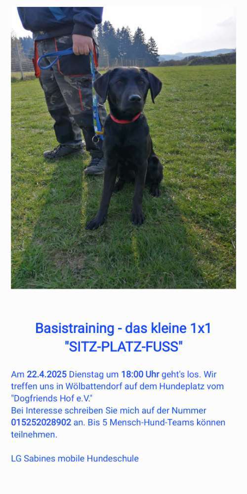 Hundeauslaufgebiet-Sabines mobile Hundeschule-Bild