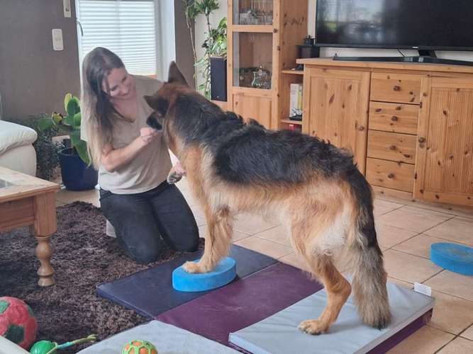 Hundeauslaufgebiet-Tierphysio mit Herz - Jessica Reimann-Bild