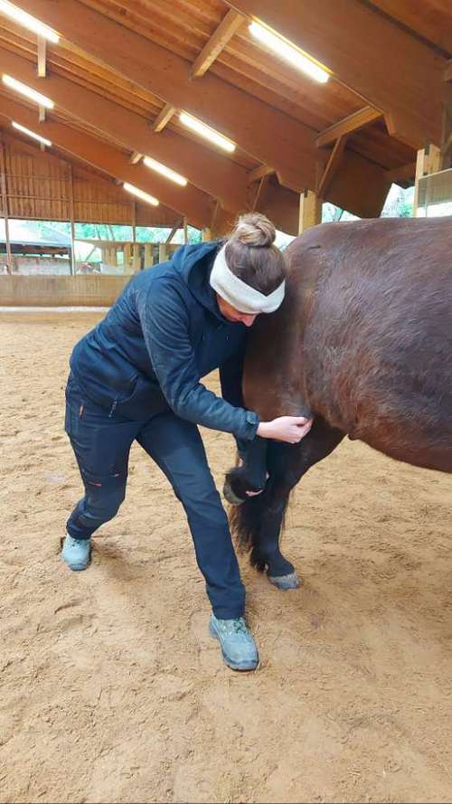 Hundeauslaufgebiet-Tierphysio mit Herz - Jessica Reimann-Bild