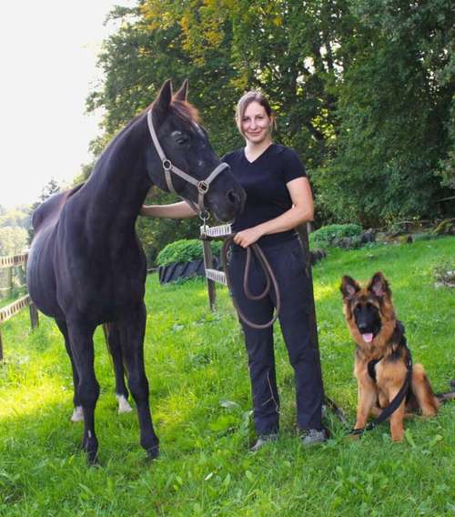 Hundeauslaufgebiet-Tierphysio mit Herz - Jessica Reimann-Bild
