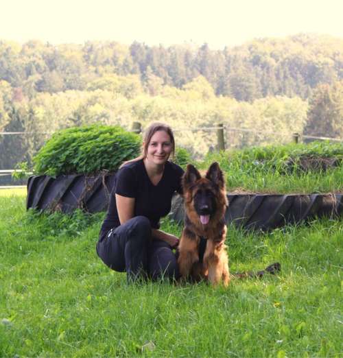 Hundeauslaufgebiet-Tierphysio mit Herz - Jessica Reimann-Bild