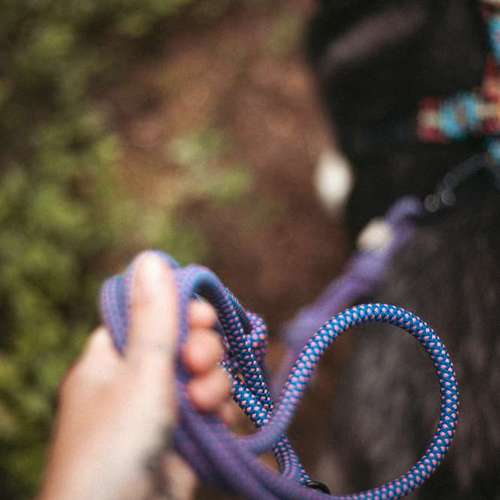 Hundeauslaufgebiet-saltXamore.thelabel-Bild
