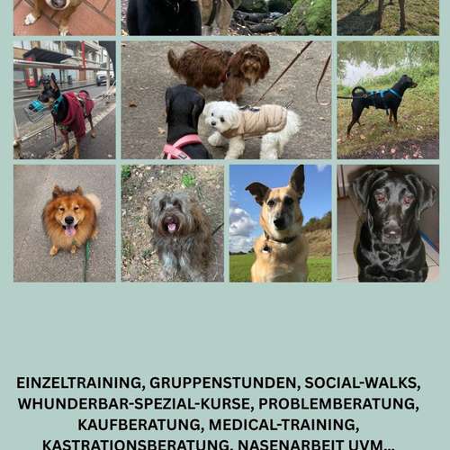 Hundeauslaufgebiet-wHunderbar Mensch-Hund-Training Nadine Becker-Bild