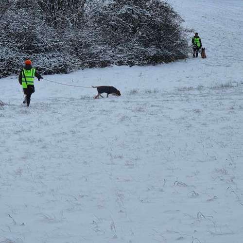 Hundeauslaufgebiet-Hundeschule & Hundephysiotherapie Silvia Walter-Bild