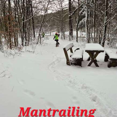 Hundeauslaufgebiet-Hundeschule & Hundephysiotherapie Silvia Walter-Bild