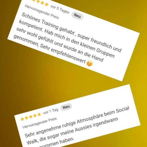 Hundeauslaufgebiet-Familienhunde Welver-Bild