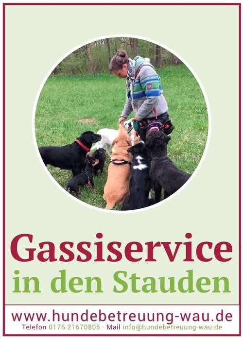 Hundeauslaufgebiet-Hundebetreuung WAU!-Bild