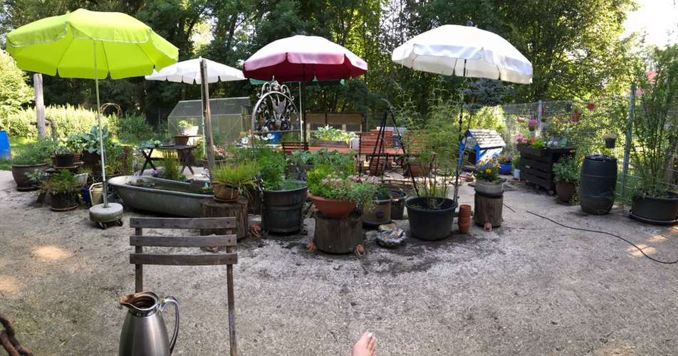 Hundeauslaufgebiet-Hundebetreuung WAU!-Bild