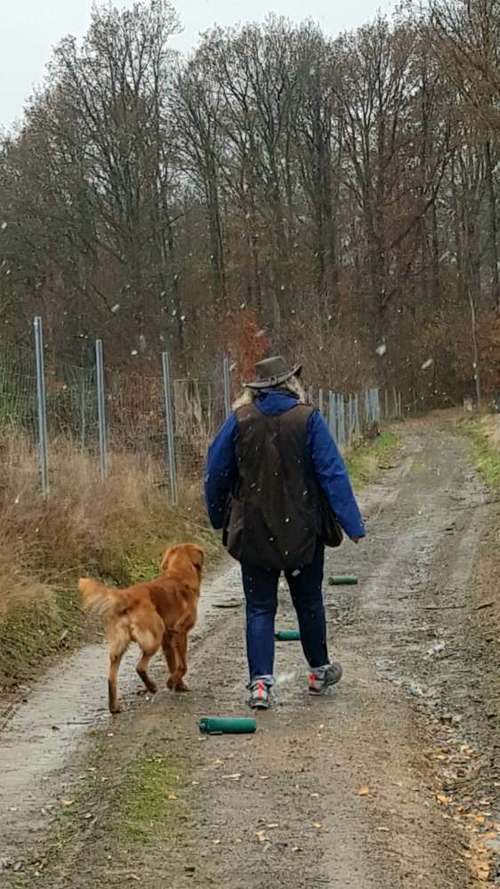 Hundeauslaufgebiet-Hundeschule Retrievertreff Peberg-Bild