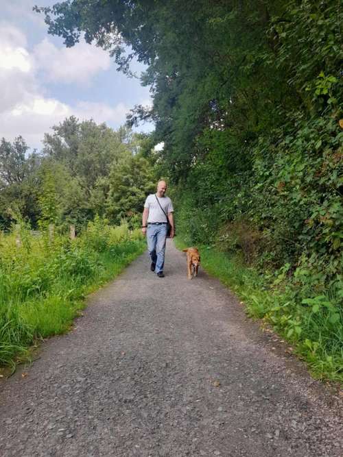 Hundeauslaufgebiet-Fredos Hundecoaching-Bild