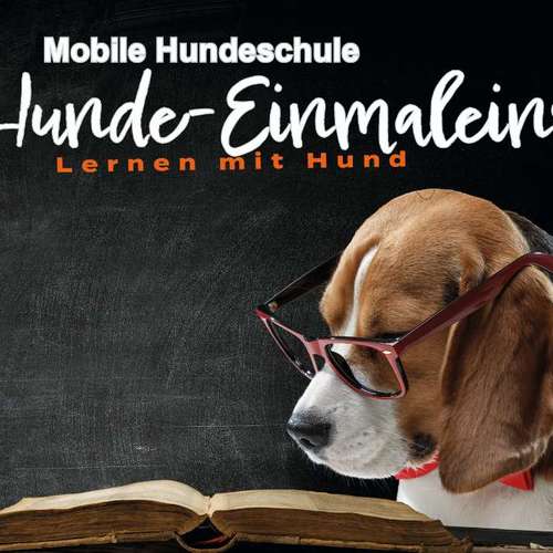 Hundeauslaufgebiet-Mobile Hundeschule Hunde 1x1-Bild