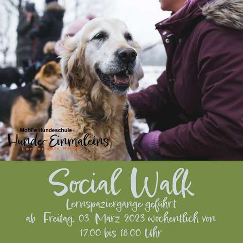 Hundeauslaufgebiet-Mobile Hundeschule Hunde 1x1-Bild