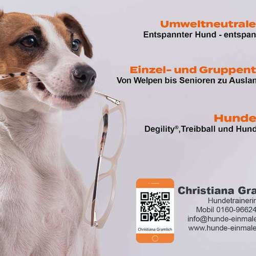 Hundeauslaufgebiet-Mobile Hundeschule Hunde 1x1-Bild