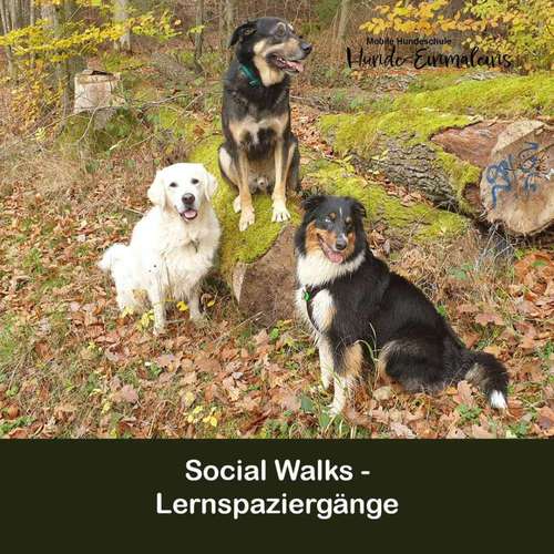 Hundeauslaufgebiet-Mobile Hundeschule Hunde 1x1-Bild