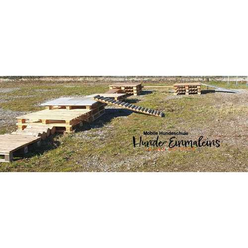 Hundeauslaufgebiet-Mobile Hundeschule Hunde 1x1-Bild
